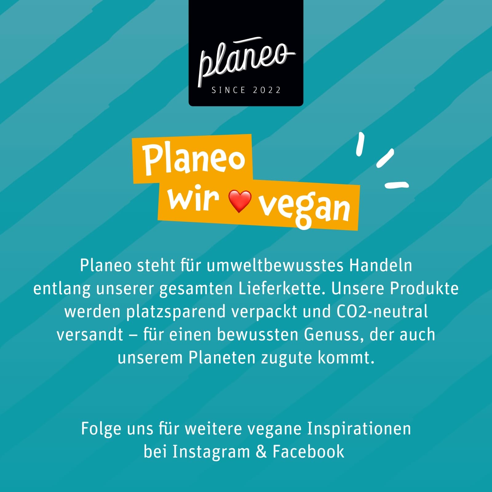 Planeo Vegane Bunte Schoko Linsen 1kg - Großpack - produziert in Deutschland - Beste Qualität - Gentechnikfrei, vegan, günstig
