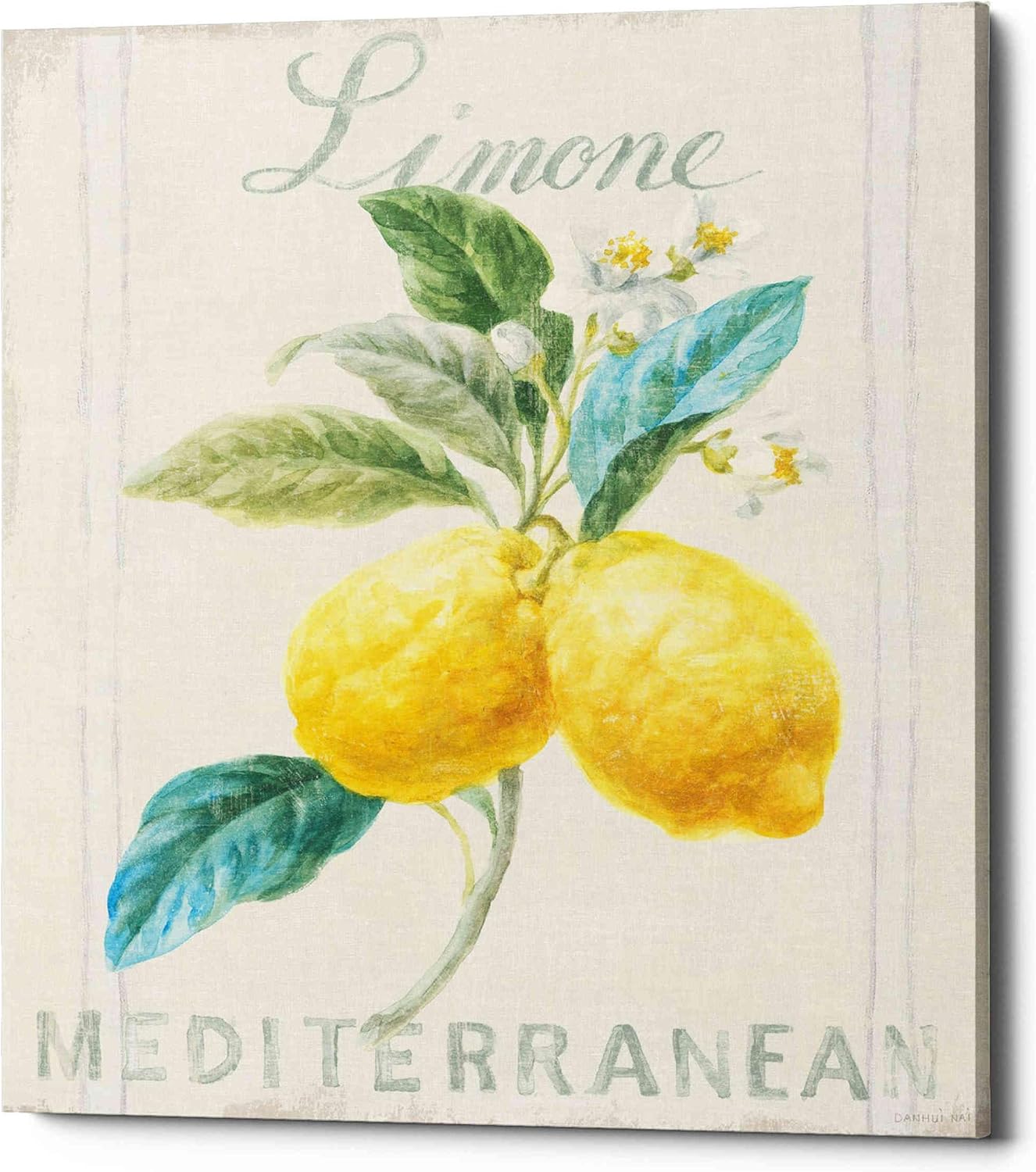 Epic Graffiti 'Floursack Lemon III' by Danhui Nai, Canvas Wall Art, 12"x16"