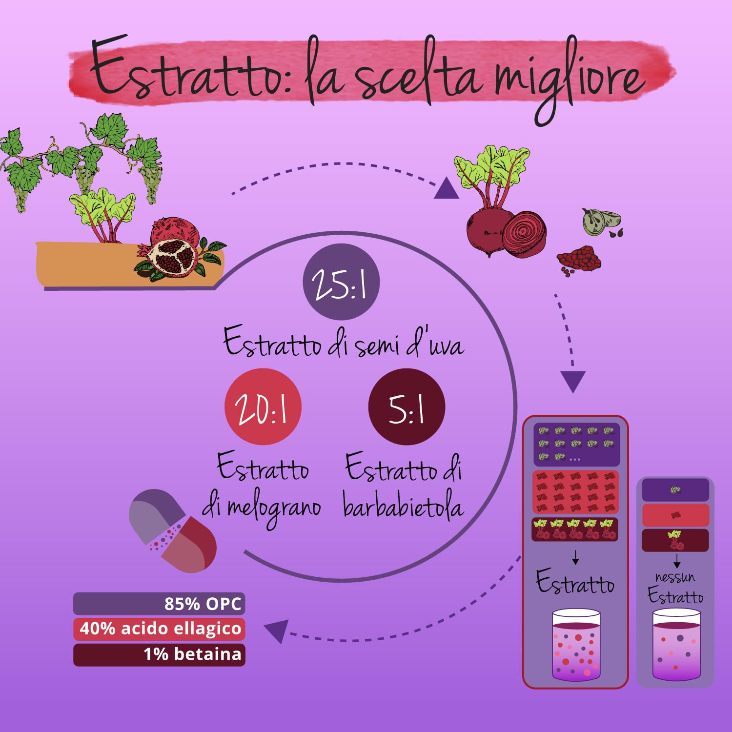 Integratore OPC | 12.000 mg di Estratto di Semi d’uva | Antiossidante Naturale per Circolazione | Proantocianidina Oligomerica > 85% | Puro da uva italiana | Vegan | No Additivi | Vegavero®
