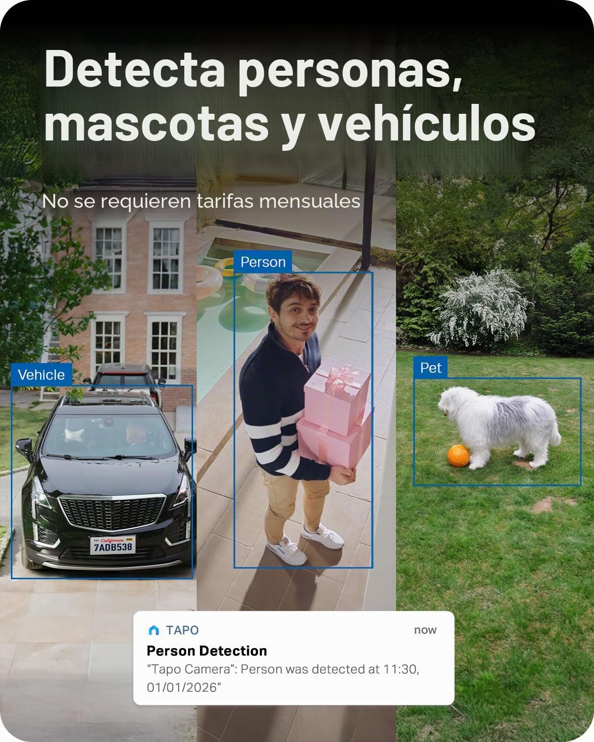 Tapo TP-Link C660 - Cámara de Seguridad Wi-Fi para Exteriores, panorámica/inclinación, visión de 360°, Seguimiento de Movimiento, visión Nocturna a Color, detección de Personas/vehículos/Movimiento