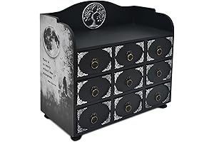 INSOVITA: Edgar Allan Poe Victorian Gothic Jewelry Box, a Literary Curio