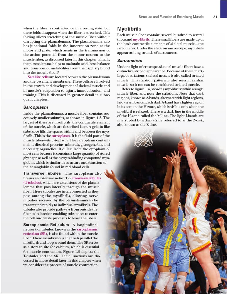 Physiology of Sport and Exercise