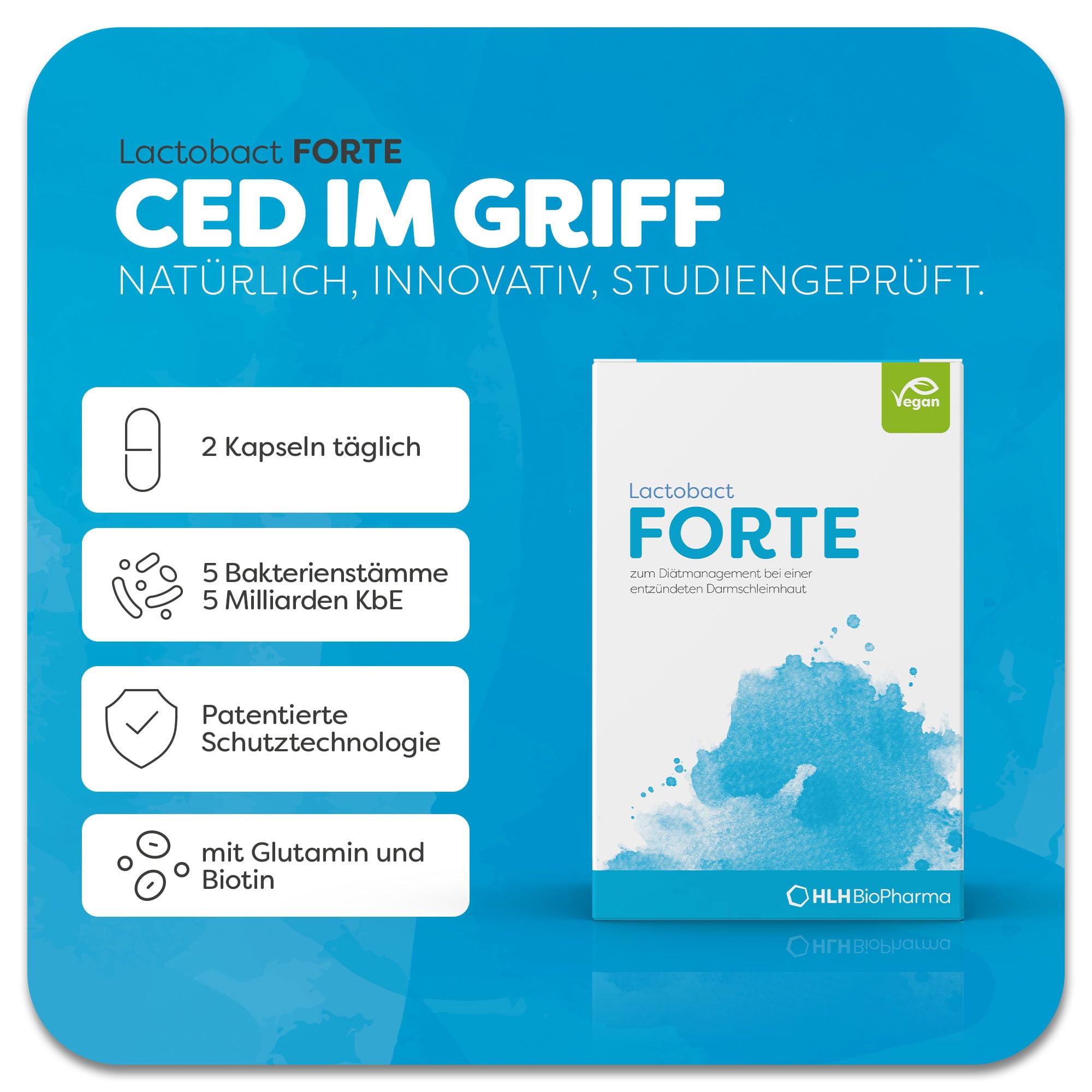 Lactobact FORTE Spar-Set 2x120 Kapseln. Zur diätetischen Behandlung einer entzündeten Darmschleimhaut.