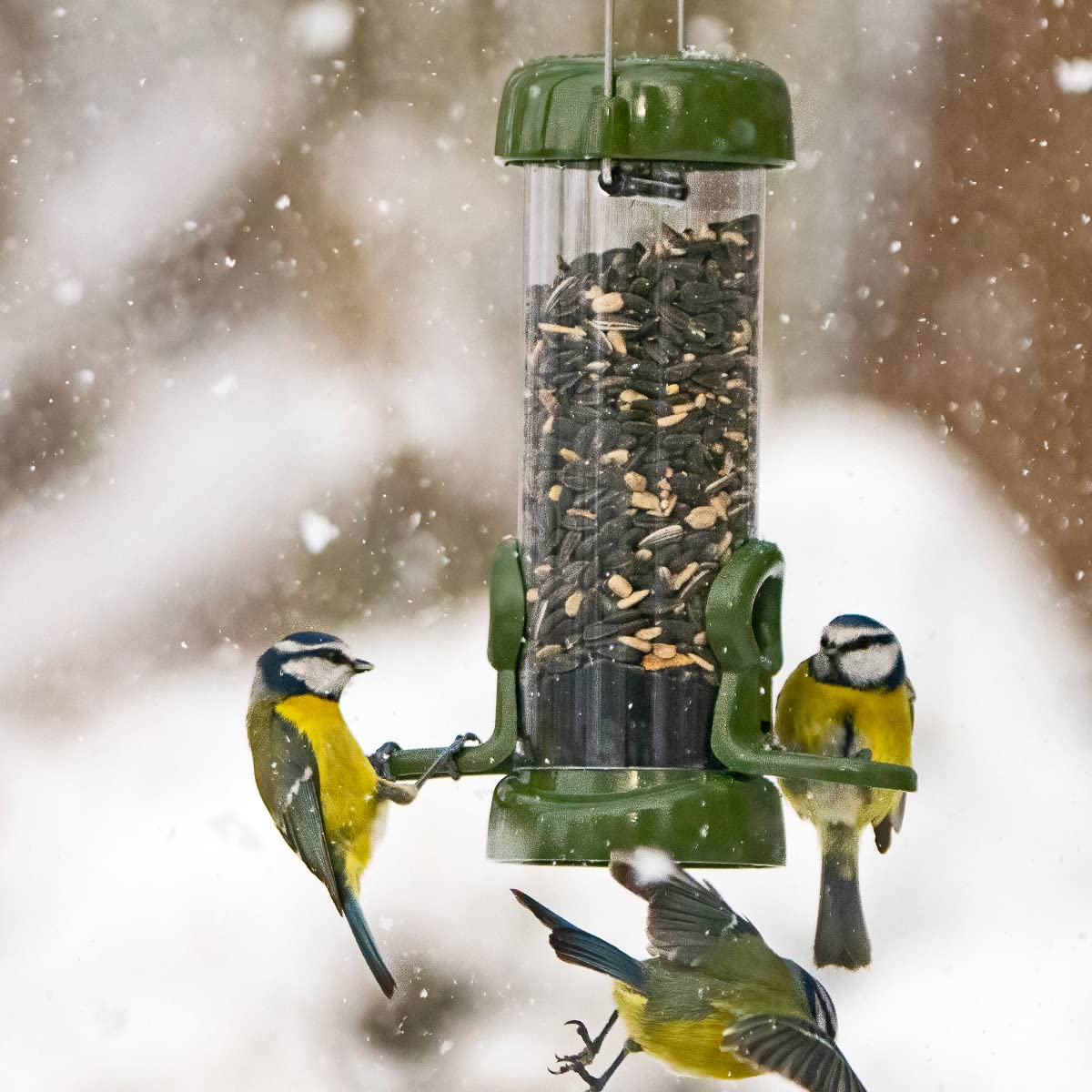 Jacobi Jayne RP3-S1G Ring-Pull Click Small Seed Feeder, green Bird — view 2