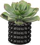Flocked Fake Plants Realistic Succulents Artificial Plant in Ceramic Pot, Fake Succulents for Home Shelf Modern Bathroom Tabletop Decor