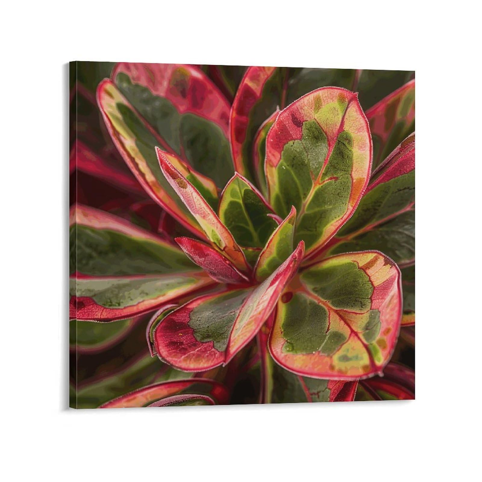KLOPH Succulent Plant Leaves Canvas Wall Art for Living Room 10x10inch Modern Artwork Painting for Bathroom Hanging Canvas Prints Aesthetic Wallart for Bedroom Kitchen Office Wall Decor