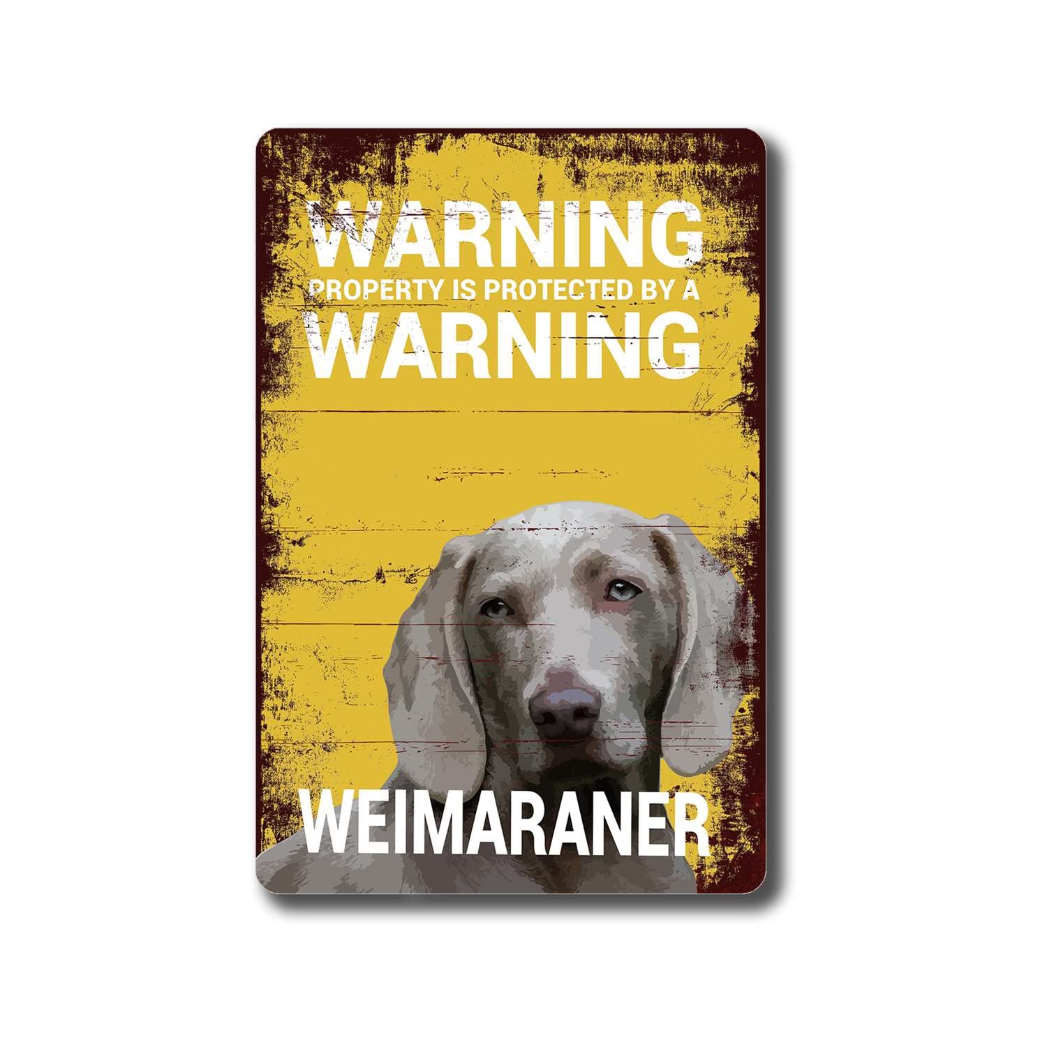 Can I Keep My Puppy In The Garage