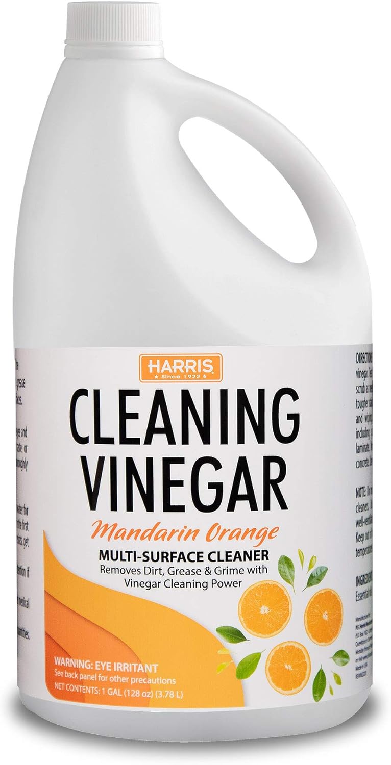 How to Get Rid of the Musty Smell in Your Basement 24 Effective Ways