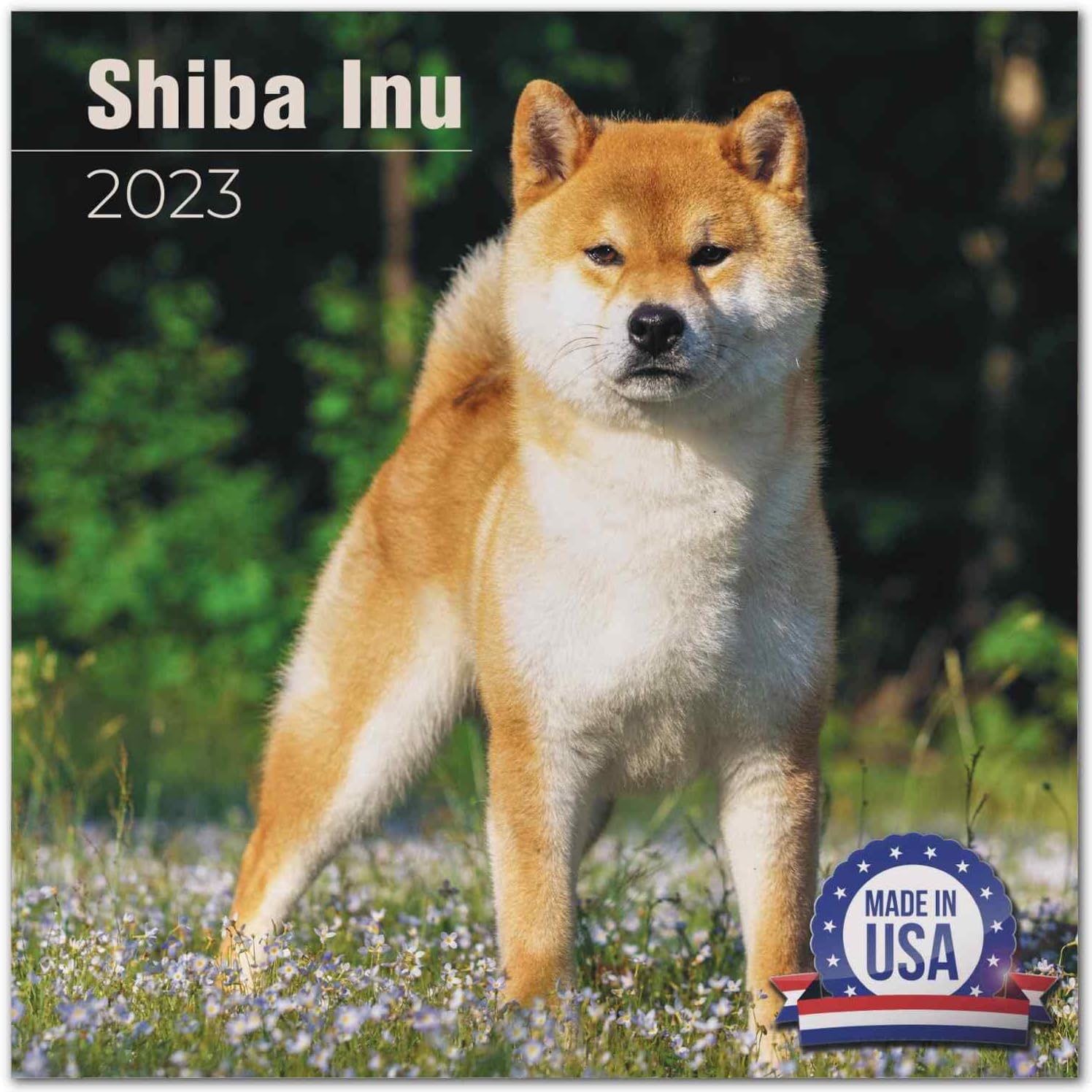 2022 2023 Shiba Inu Calendar Dog Breed Monthly Wall Calendar 12