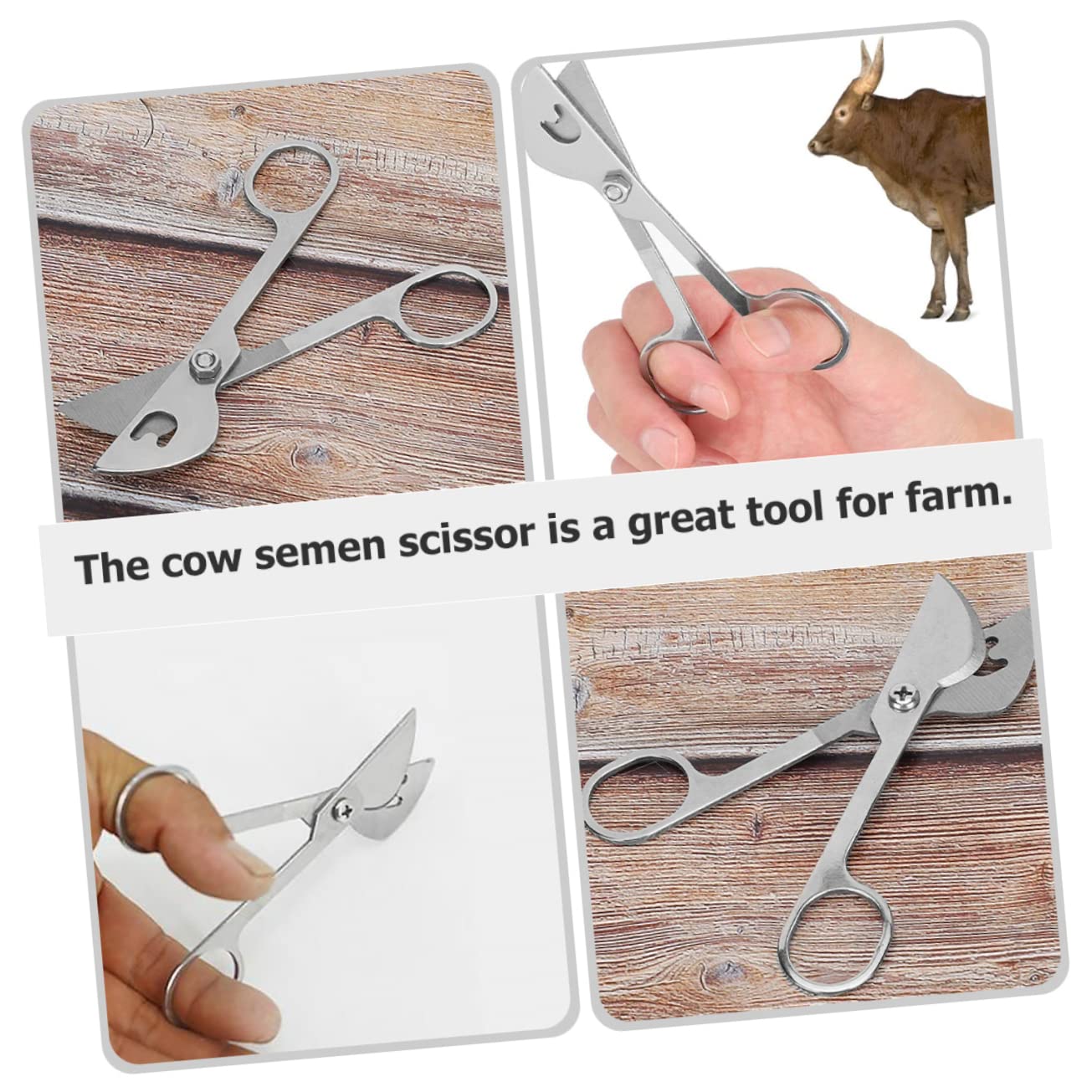 NUOBESTY 5pezzi Cesoie Acciaio Inossidabile Per Utensile Pratico Per La Riproduzione Del Bestiame Ergonomico e Design Semplice Per Per Taglio Tubo Pz