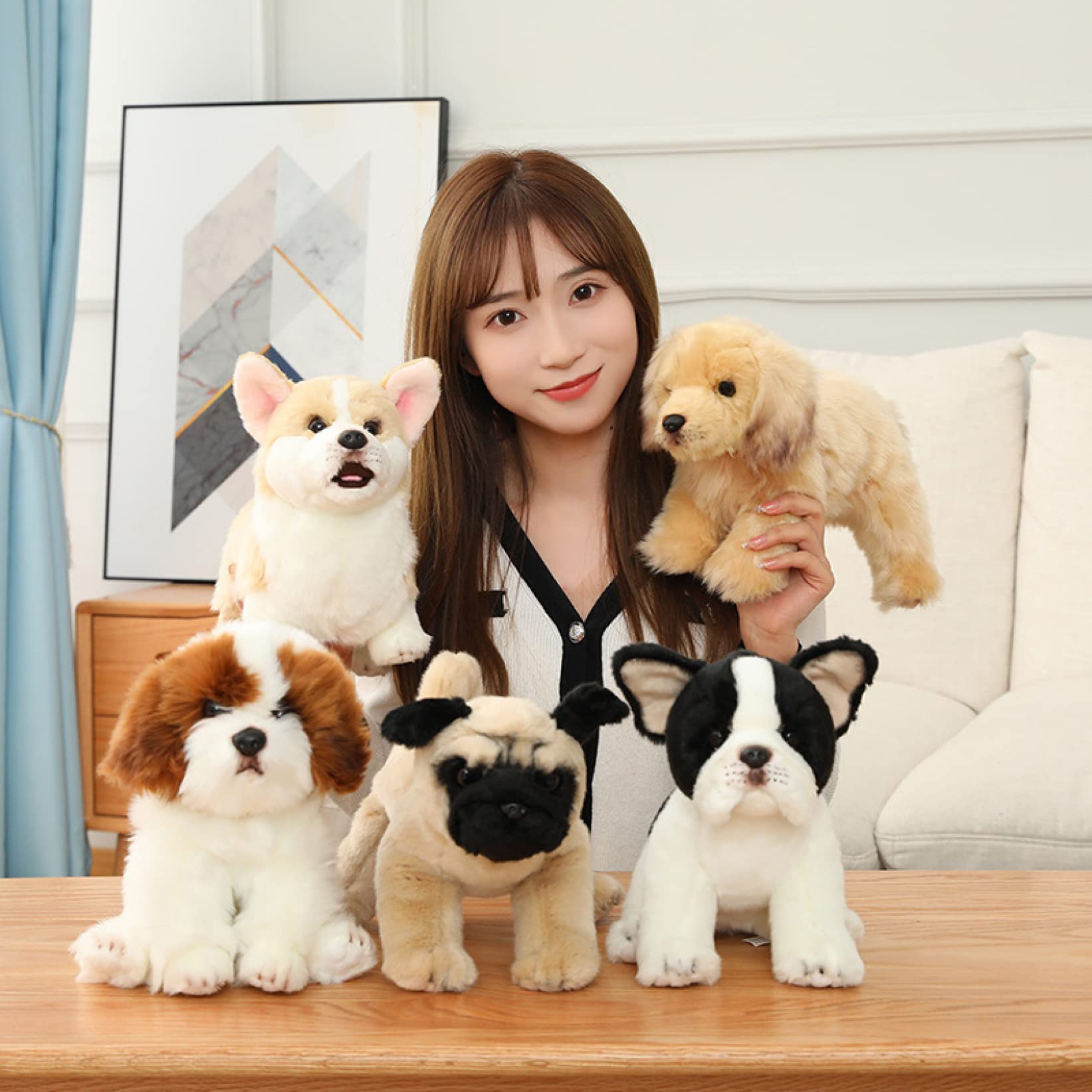Amazon.co.jp: M．ASSOLATO 特大ぬいぐるみ ボーダーコリー 