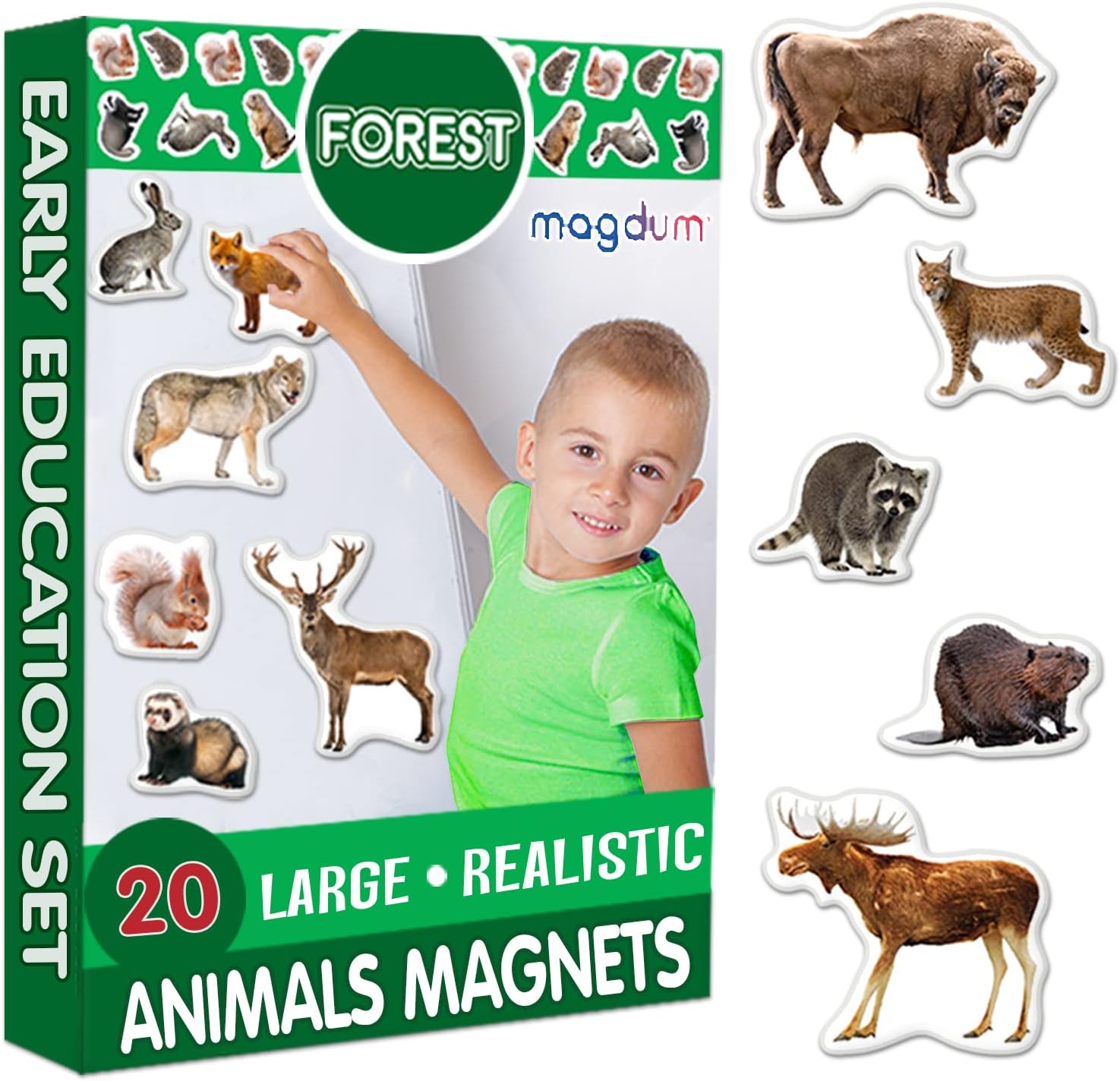 MAGDUM Fridge Magnets for Toddlers Forest Animal Magnets - 20 Kids Magnets Fridge Magnets for Kids Refrigerator Magnets for Kids Baby Magnets Magnetic Toys Toddler Toys Baby Toys Toddler Learning Toys