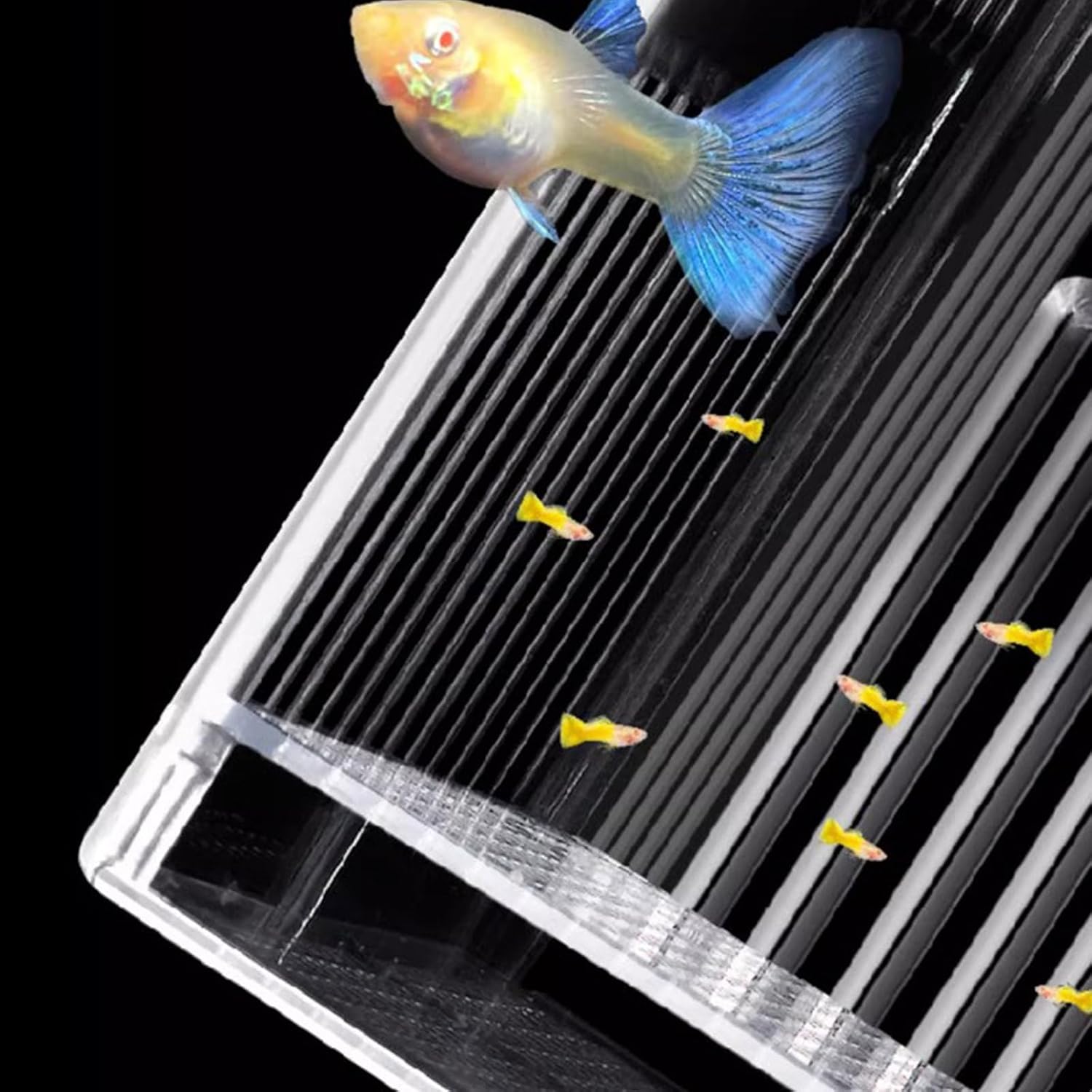 Breeding Tanks for Aquarium Isolation Box Hatchery for Fry Clear Spawning Acrylic Hatchery Container