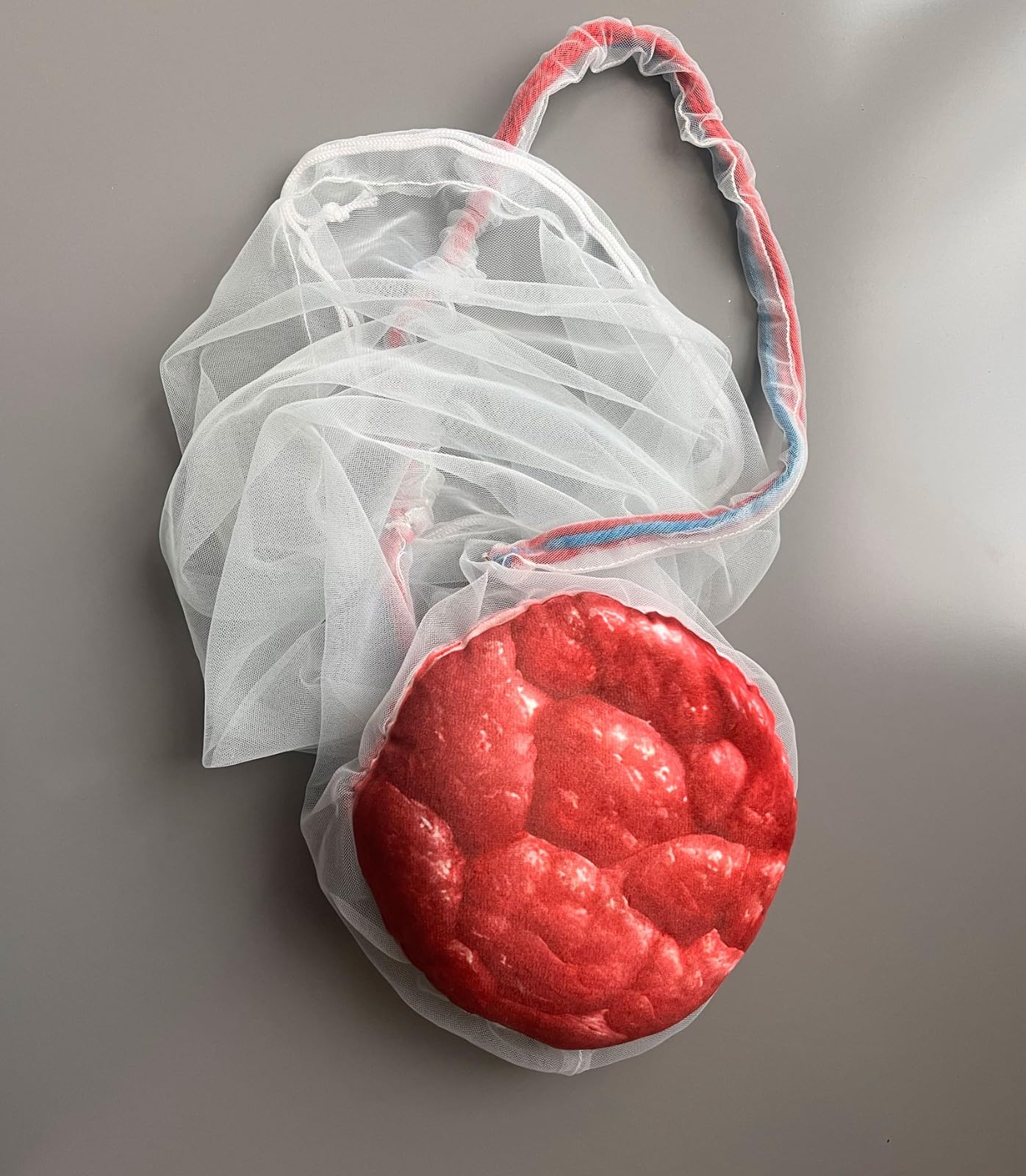 Weibliches Geburtsmodell Für Hebammen Mit Baby Modell Inkl Nabelschnur,Plazenta Und Beckenboden Modell Für Geburtshilfe Und Schulung in Der Weibliche Pelvis Geburtstagsmodell(B)