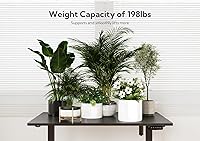 Vista 8 de INNOVAR Electric Standing Desk, Adjustable Height Stand up Desk, 48x24 Inches Sit Stand Home Office Desk with Solid Wood Desktop, Black FrameBlack