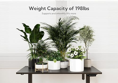 Miniatura 8 de Escritorio eléctrico de pie de madera maciza, escritorio de pie de altura ajustable de 48 x 24 pulgadas con escritorio de pieza completa, escritorio