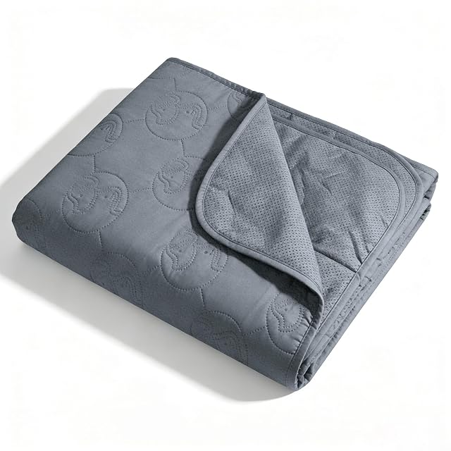 Pawsse Manta Impermeable para Perro, Funda de sofá Lavable para Mascotas, Alfombra Protectora para Muebles