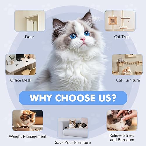 Miniatura 5 de Juguetes interactivos para gatos de interior, juguete eléctrico automático para gatos, el mejor gato y adulto enriquecimiento ratones y animales