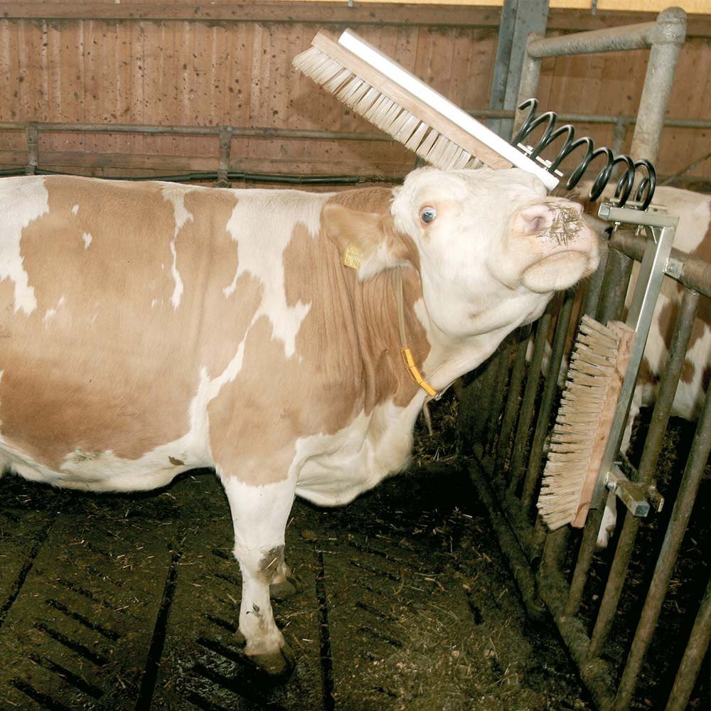 Kerbl Spazzola per bestiame Texas, nero, grigio