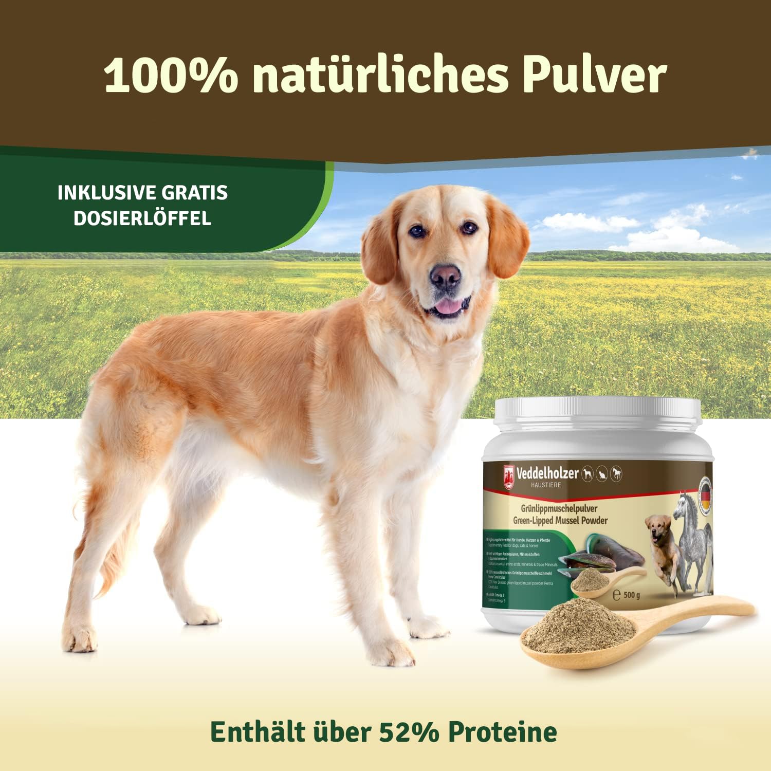 Veddelholzer Natürliches Grünlippmuschelpulver Hund - 500g Grünlippmuschel für Hunde hochwertige Nahrungsergänzung - Grünlippmuschelextrakt mit Hoher Akzeptanz bei Allen Hunden