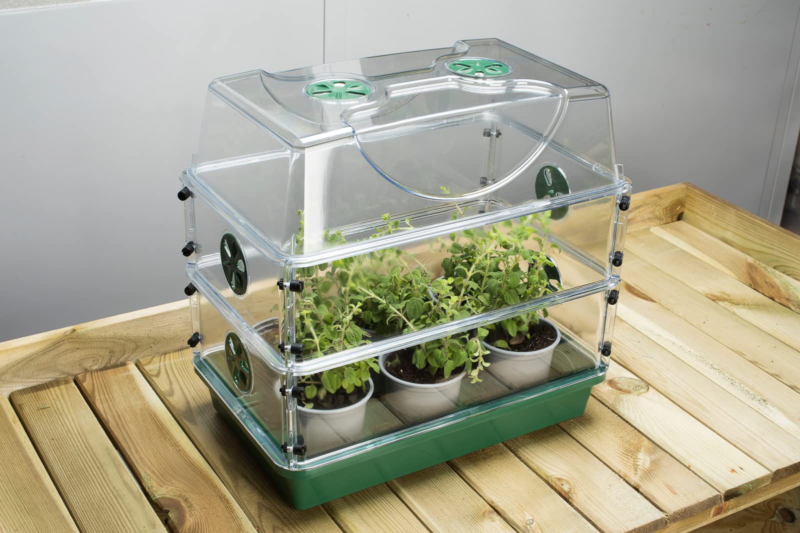 EarlyGrow MPL50119 Propagateur moyen incassable avec extension de hauteur (moyen avec deux ensembles d'extension)