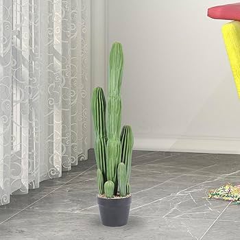 Nala ナラ　Cactus all in one Amazon.com : AIWIKIDE 37.4