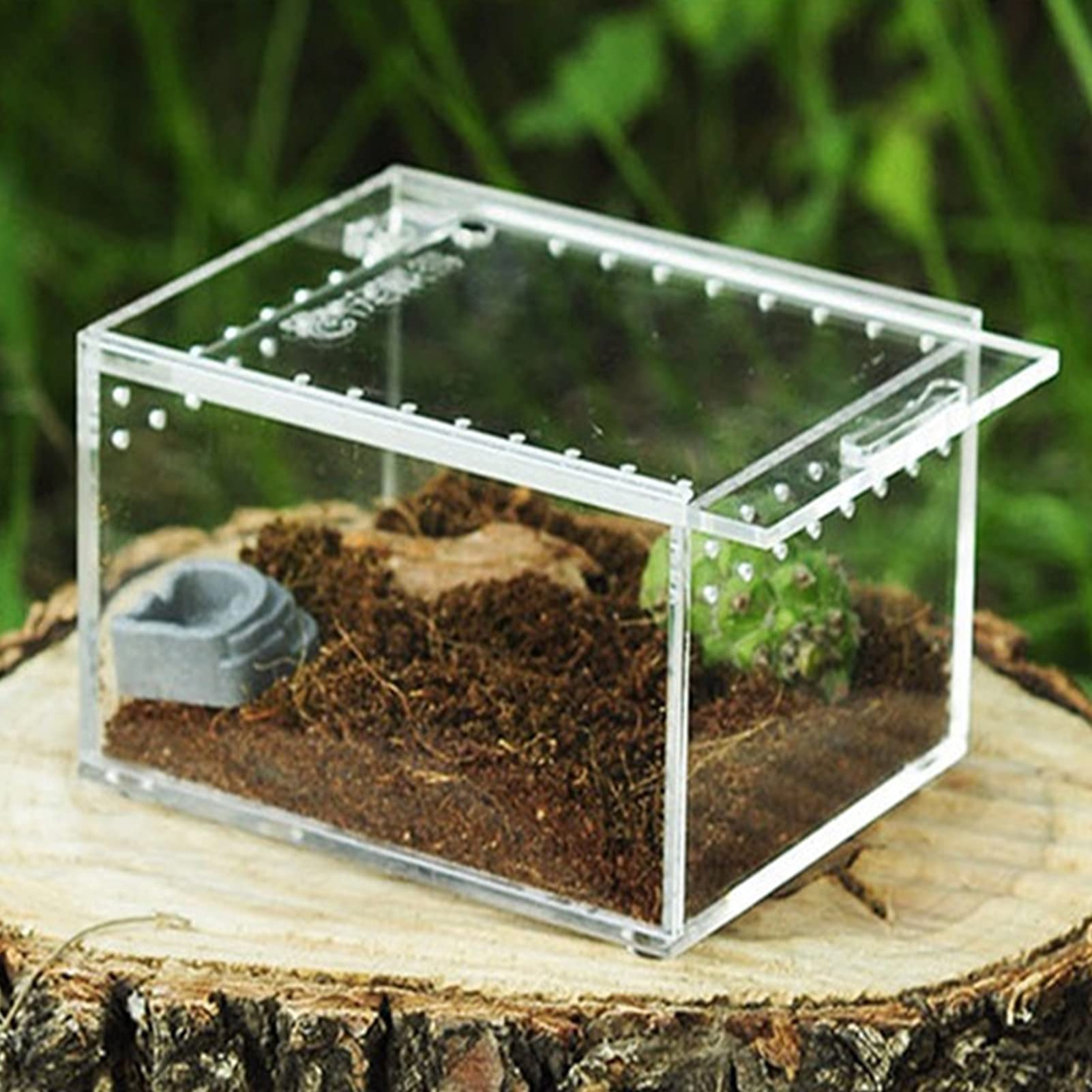 Terrarium En Acrylique Transparent 15x15x15 Cm - Pour Phasmes, Escargots, Petites Araignées, Reptiles Et Insectes - 8
