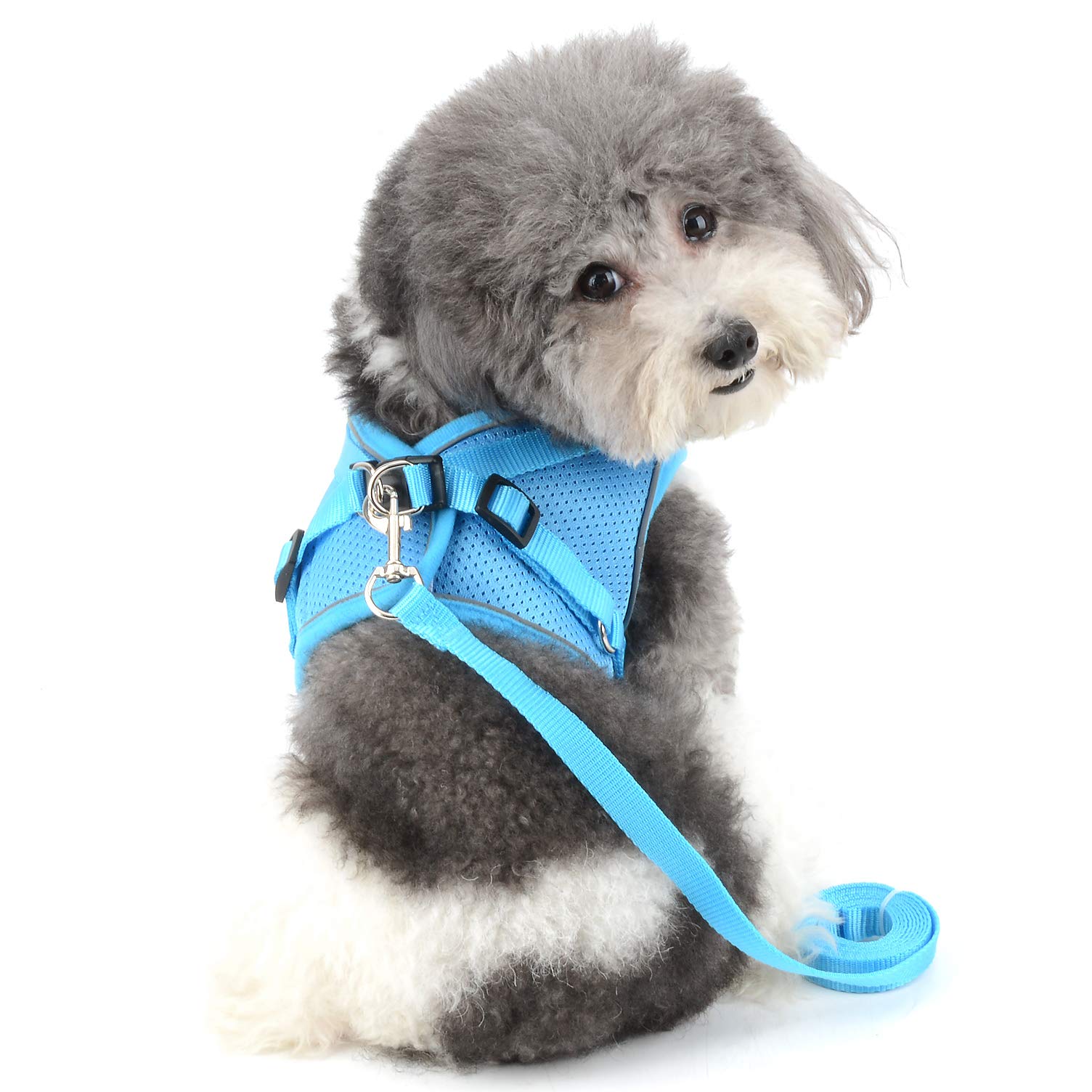 犬 ハーネス Lサイズ 小型犬 リード付 ペット ブルー メッシュ 散歩用 Amazon | RANPHY 犬 ハーネス リード セット 小型犬 子猫 子犬 猫用