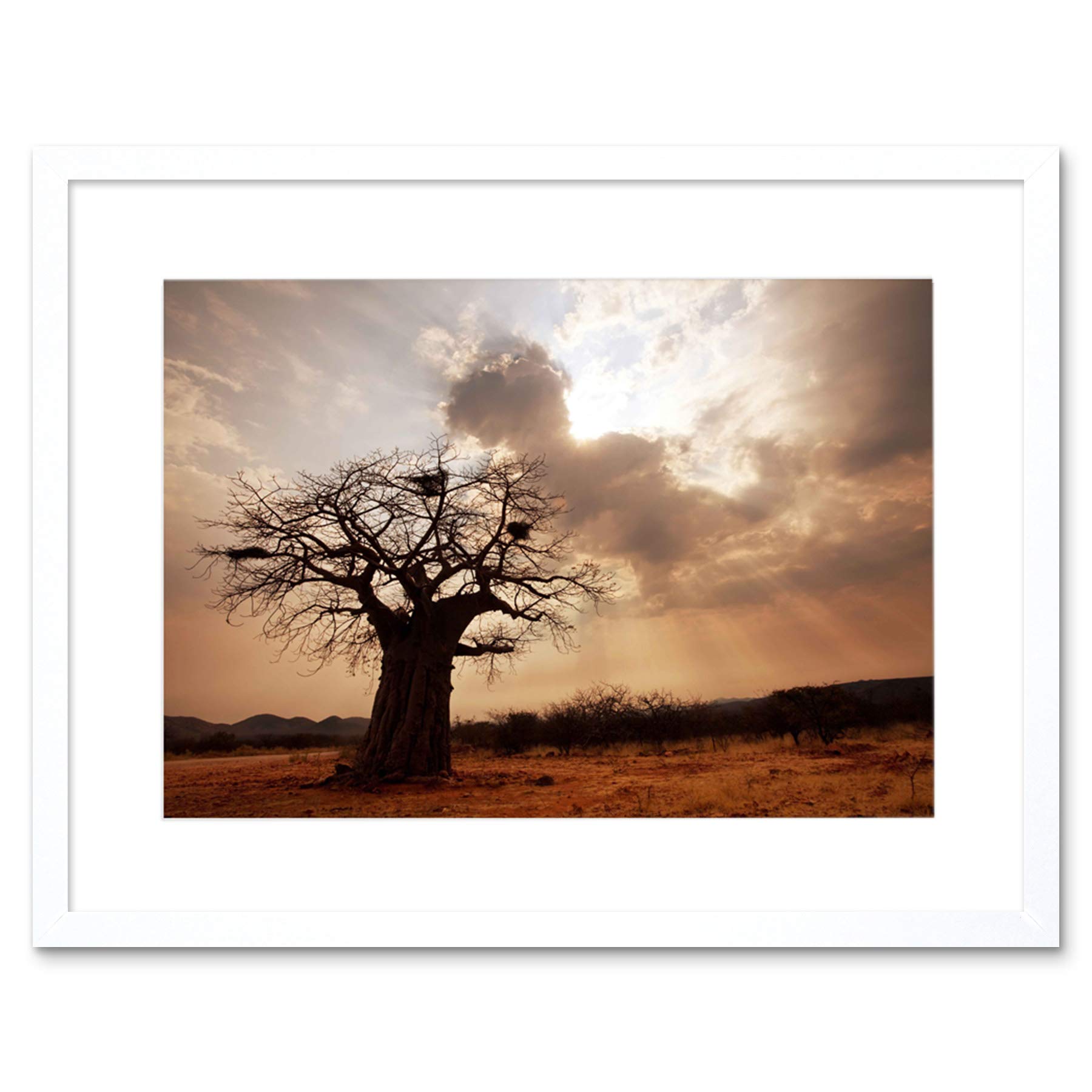 Wee Blue Coo Landscape Single Lone Baobab Tree Sunbeam Framed Wall Art Print
