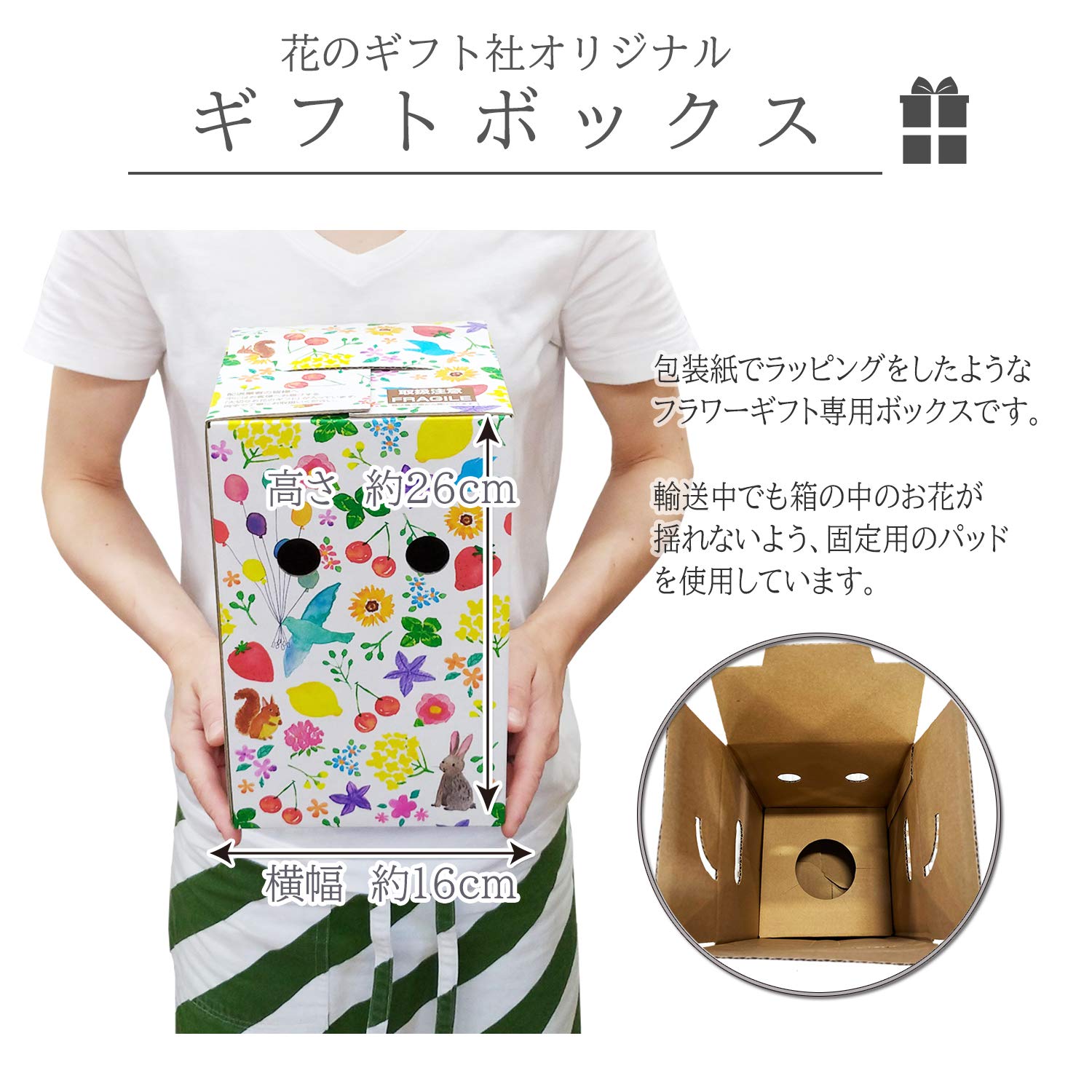 Amazon｜花のギフト社 さぼてん ウチワサボテン 柴犬バスケット 鉢植え