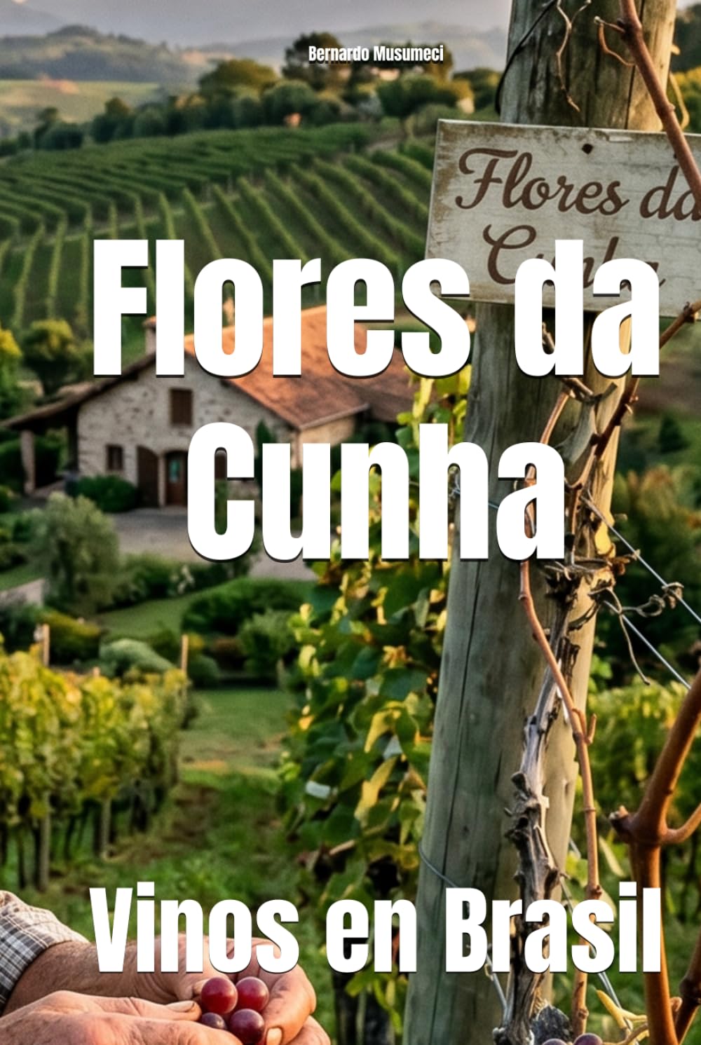 Flores da Cunha: Vinos en Brasil (Wines of the World: Brazil)