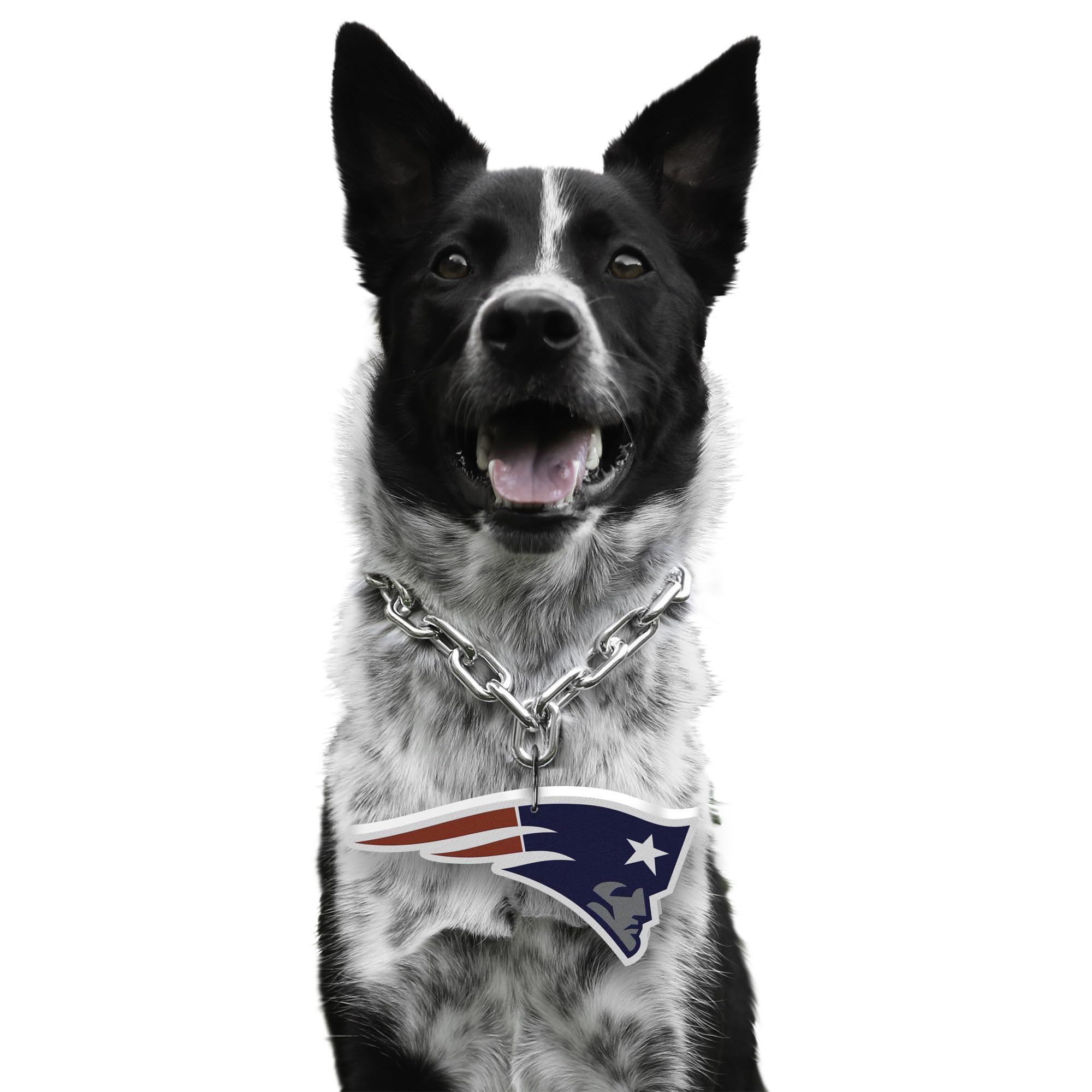 Littlearth NFL Pet Fan Chain