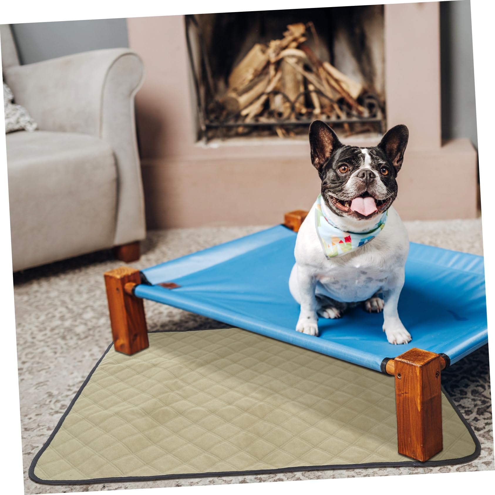Toyvian 2pièces Tapis Urine Lavable Et Réutilisable pour Chien Tapis De Propreté Imperméable pour Parc Et Cage Apprentissage Propreté pour Chiots