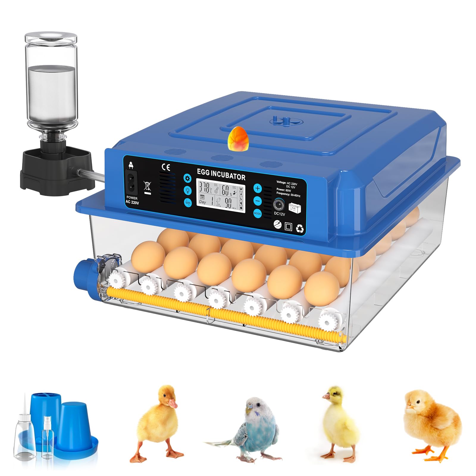 Incubadora de Huevos Automática para 36 Huevos Gallina - Control Automático deTemperatura/Humedad, Giro Automático y Fuente de Alimentación Dual, para Pato Codorniz