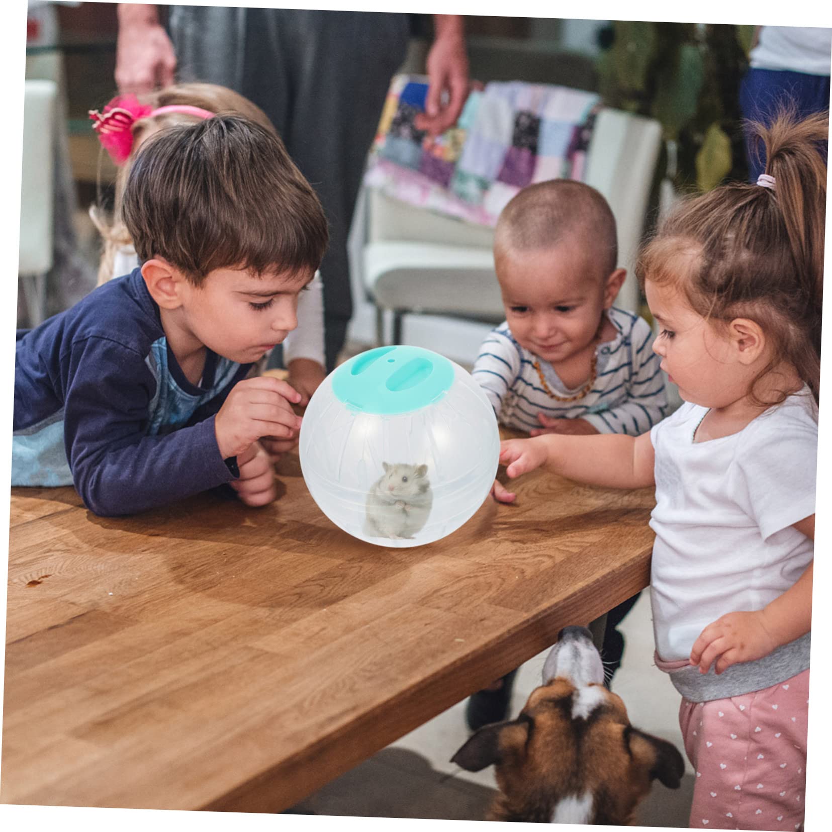 4stücke Hamster Übungskugeln Geräuschlos Große Crystal-laufbälle Für Kleintiere Für Hamster Und Rennmäuse Transparentes Design Fördert Und Fitness