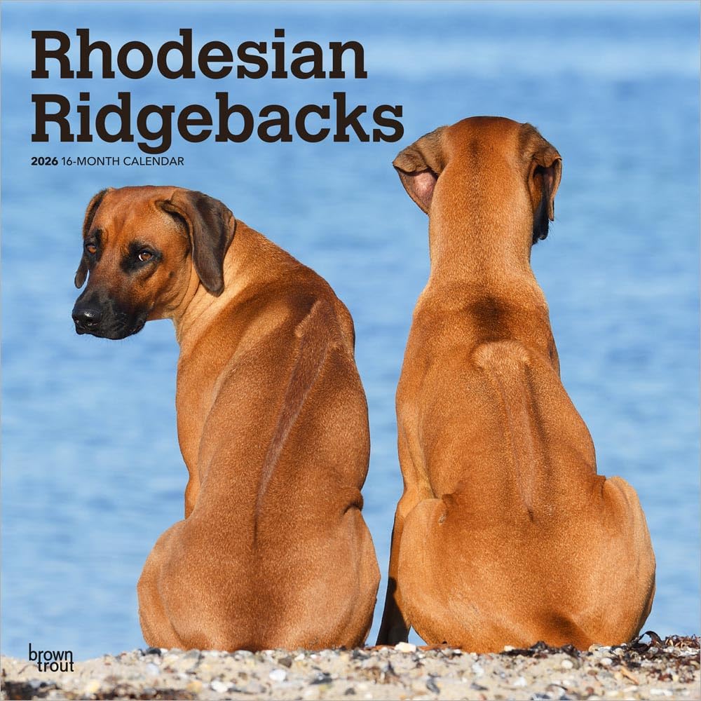 Rhodesian Ridgebacks - Rhodesian Ridgeback 2026 - 16-Monatskalender: Original BrownTrout-Kalender [Mehrsprachig] [Kalender]