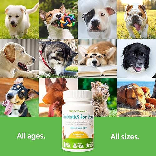 Miniatura 8 de Probióticos para perros por Tails 'N' Tummies