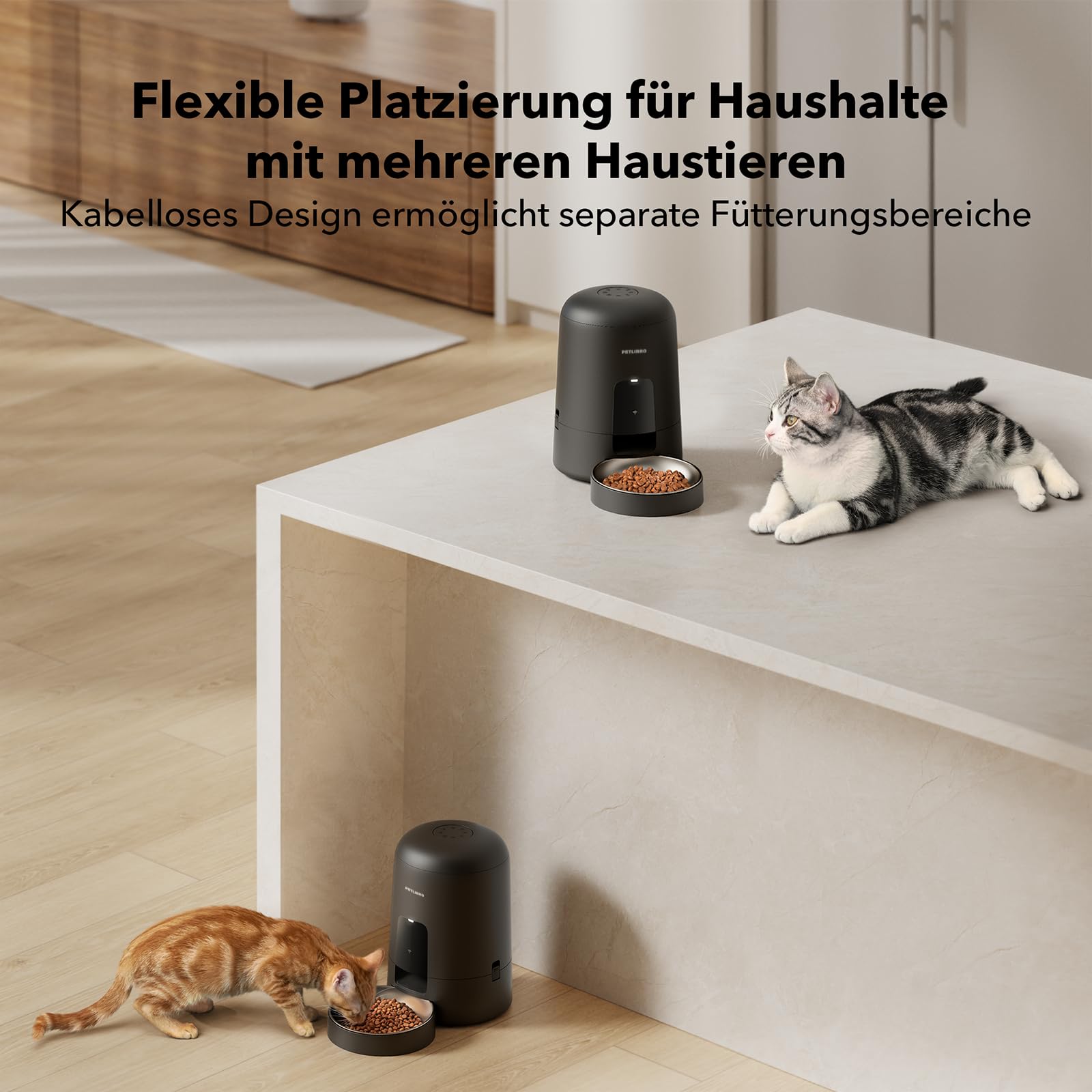 PETLIBRO Futterautomat Katze, Katzenfutter Automat Kabellos 2,4G WiFi Intelligenter Futterspender Katze, Wiederaufladbarer Akku mit 30 Tagen Batterielebensdauer, mit Edelstahlnapf, APP-Steuerung