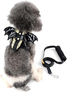 Amazon Ranphy 犬用ハーネス 猫 胴輪 はーねす リード セット 超小型犬 小型犬 子犬 可愛い コウモリの羽 散歩 訓練 お出掛 バット柄 ペット服 抜けない 調節可能 通気性が 2色 ゴールド Xl Ranphy リード 通販