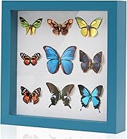 Vista 40 de Muzilife Marco de Fotos Shadow Box de 11x14 pulgadas con Tablero de Lino - Madera Profunda y Vidrio Templado, Estuche Rústico de Exhibición Listo