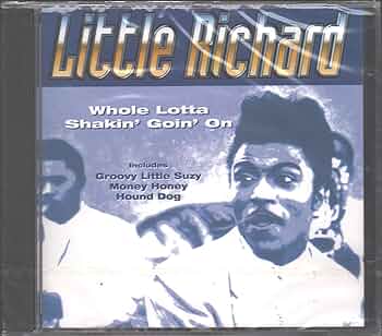 その他 Rnr Hof Whole Lotta Skakin&#39; Going on-Sm [DVD] その他 Rnr Hof Whole Lotta Skakin' Going on-Sm [DVD] Whole