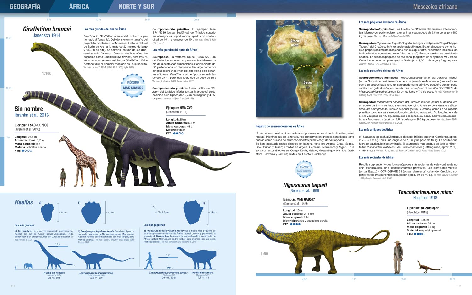 Récords y curiosidades de los dinosaurios. Saurópodos y otros sauropodomorfos