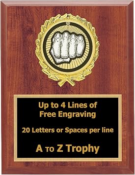 Trophies Karate Plaque Awards 5x7 Wood Sports Trophy Martial Arts Tournament Free Engraving