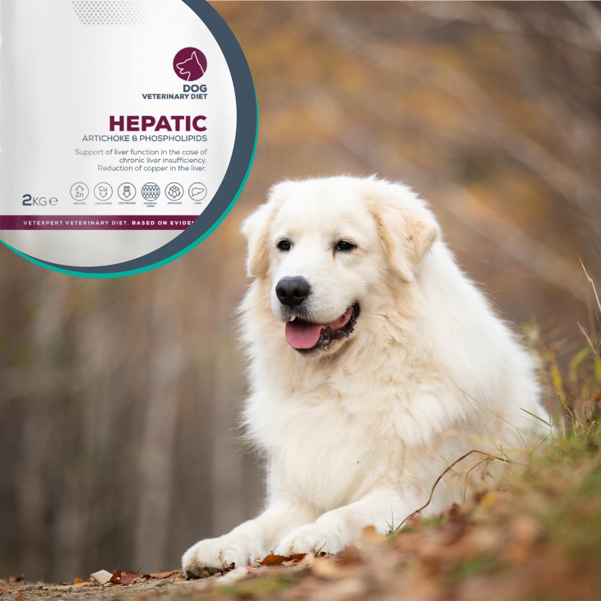 VET EXPERT HEPATIC DOG 12 kg - sucha karma weterynaryjna dla psów z przewlekłą niewydolnością wątroby