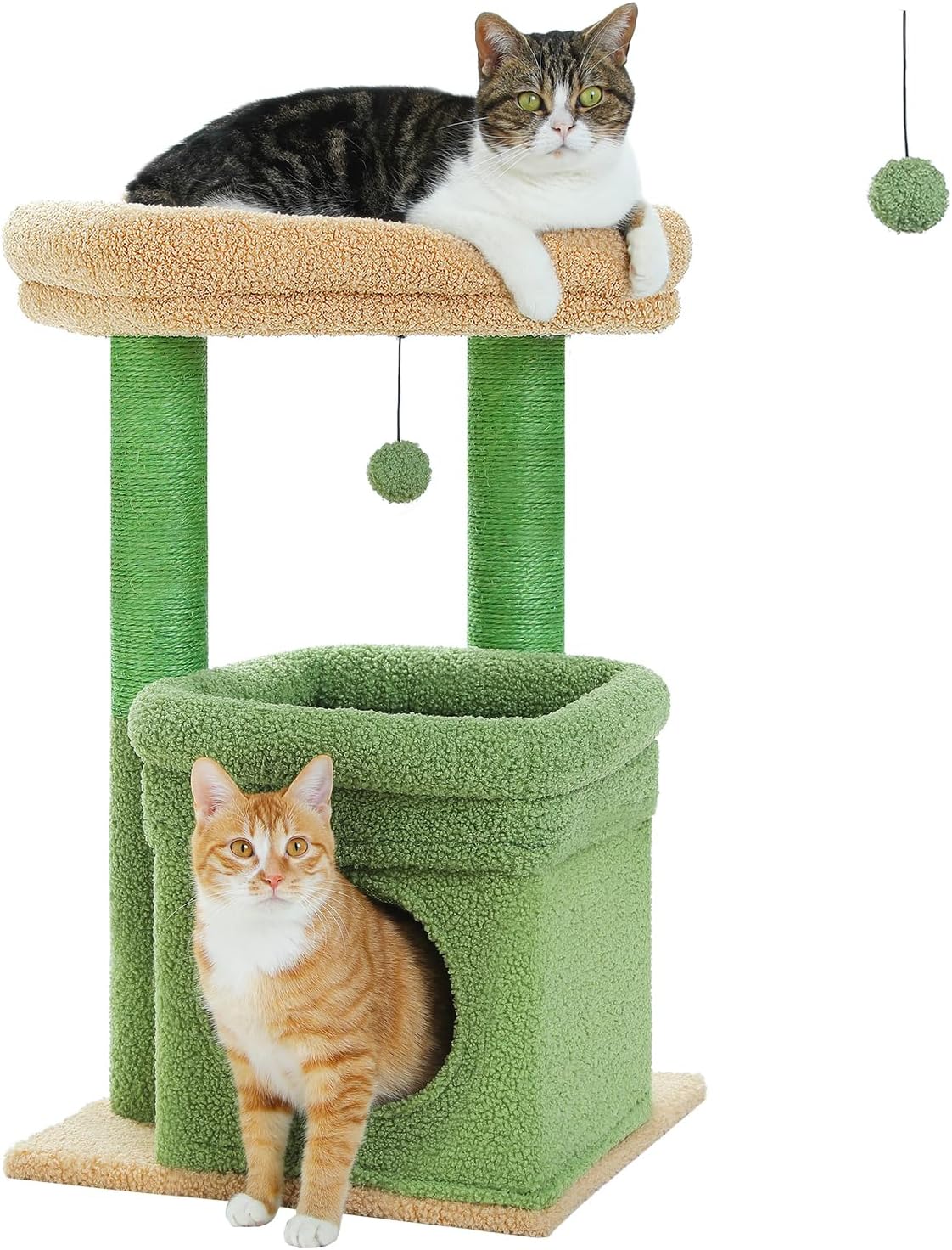 Roza Filberg tarjimai holi Vikipediya Yashirin kamera porno Natasha