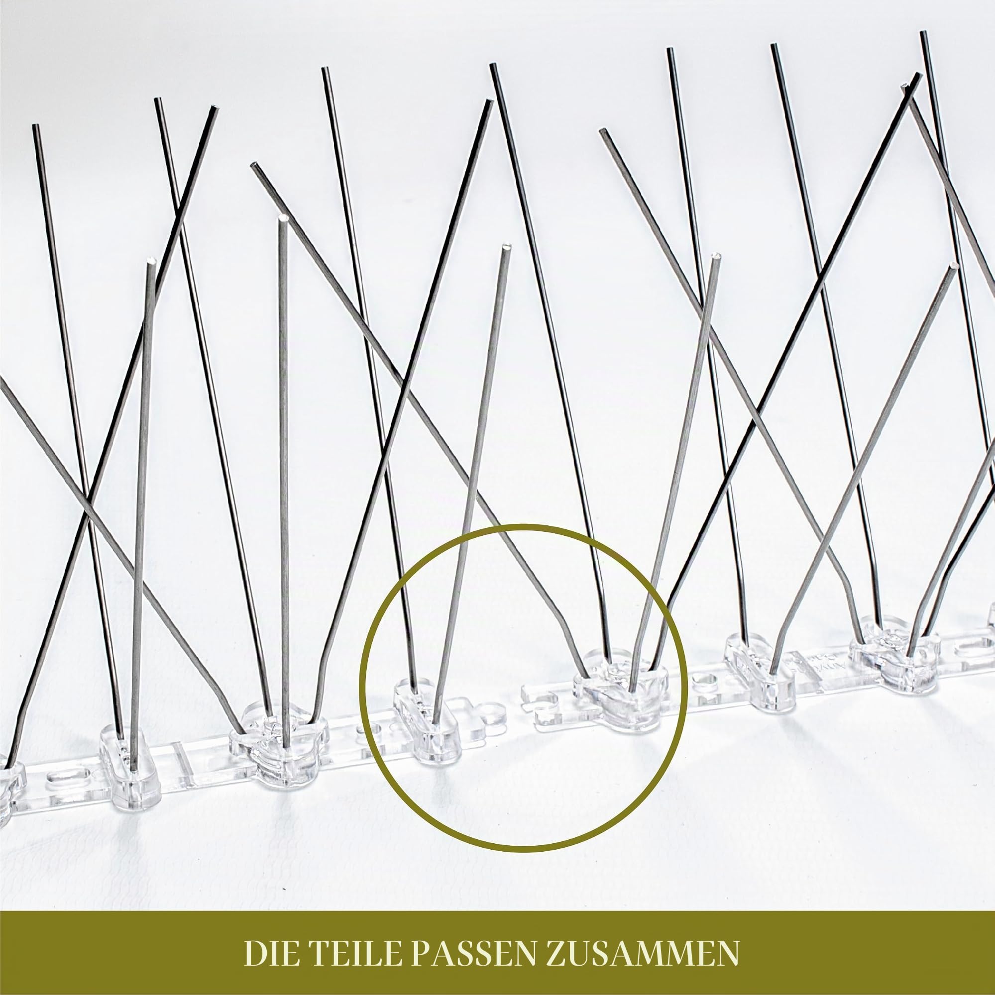 25 Meter Premium Taubenabwehr **40 V-förmige INOX-Spikes** Made in EU