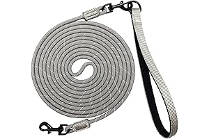 Unleash Limitless Adventures with Our Long Leash for Small Dogs