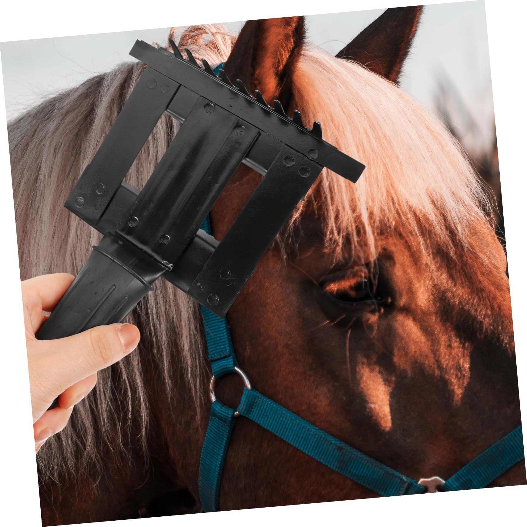 Toddmomy 5 Piezas Rastrillo Anti-picazón Sillín Cepillo De Autolimpieza Juguete Mascota Equipo Impermeable Peine Agente De Mudanzas Cerda Aseo Limpieza De Caballos Caucho Black