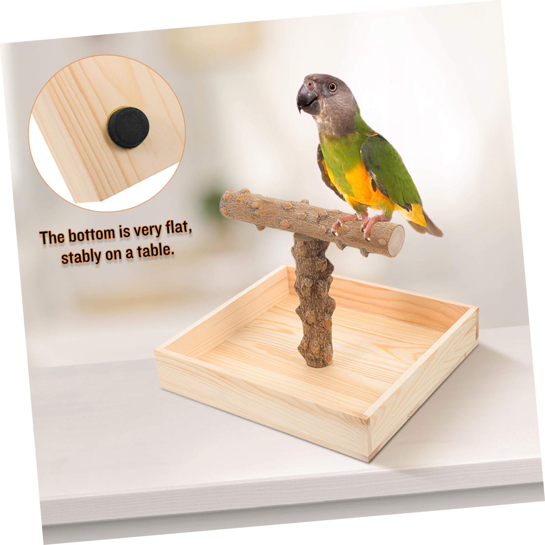 Kisangel Vogelständer Natürlichem Parrot Perch Für Käfige Und Tische Sicherer Üben Und Ausruhen Für Nymphensittiche Und Andere Vögel