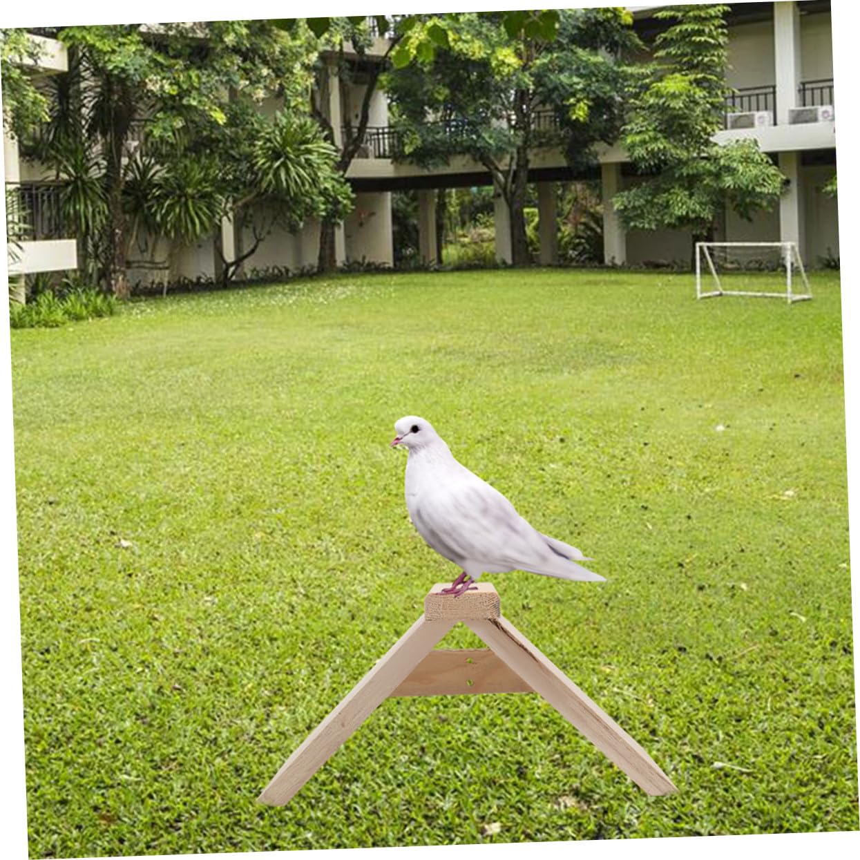 Abaodam 5 Stück Holz Sitzstangen Taubenstangen Vogelkäfigzubehör Papageienspielzeug Für Vögel Haustiere